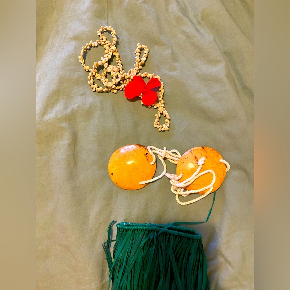 Toddler hula girl costume size 2T-4T
